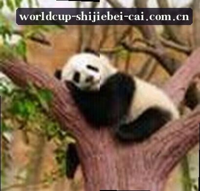 赵敏